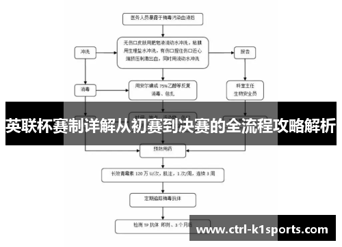 英联杯赛制详解从初赛到决赛的全流程攻略解析
