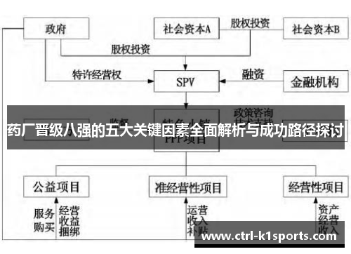 药厂晋级八强的五大关键因素全面解析与成功路径探讨