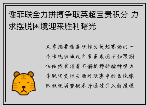 谢菲联全力拼搏争取英超宝贵积分 力求摆脱困境迎来胜利曙光