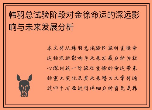 韩羽总试验阶段对金徐命运的深远影响与未来发展分析